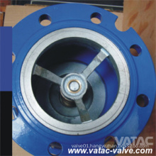 DIN Ci/Di Axial Flow Check Valve with Flange Ending